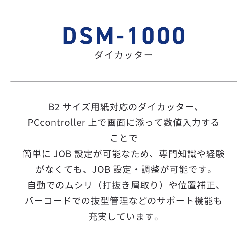 DSM-1000