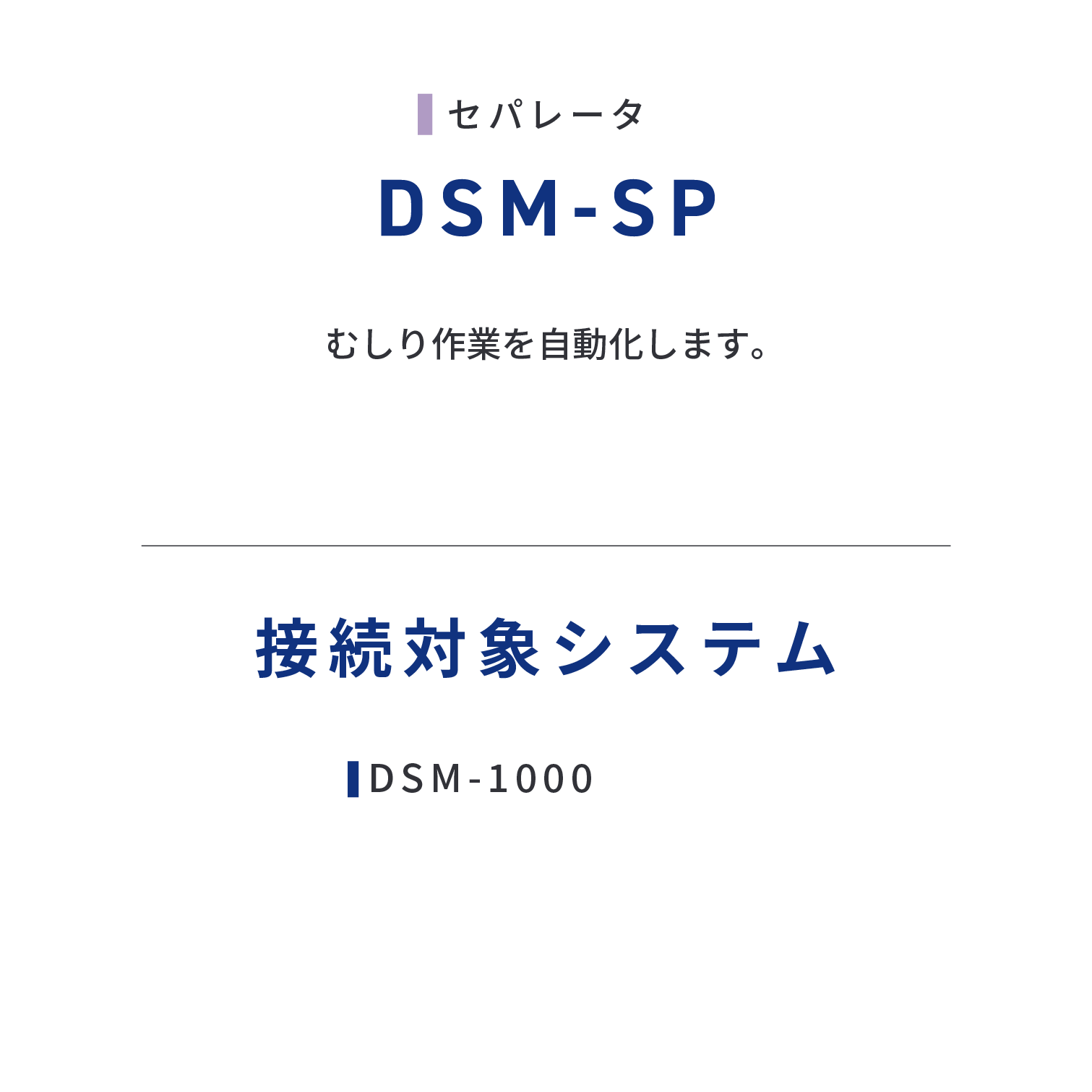 DSM-SP