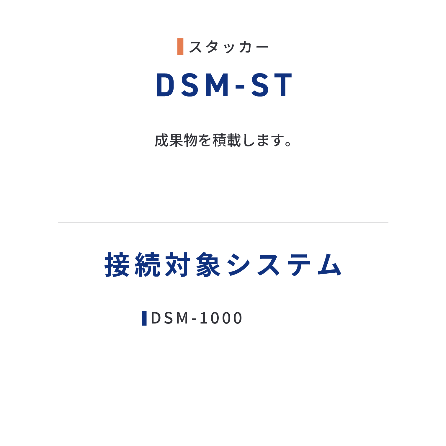 DSM-ST