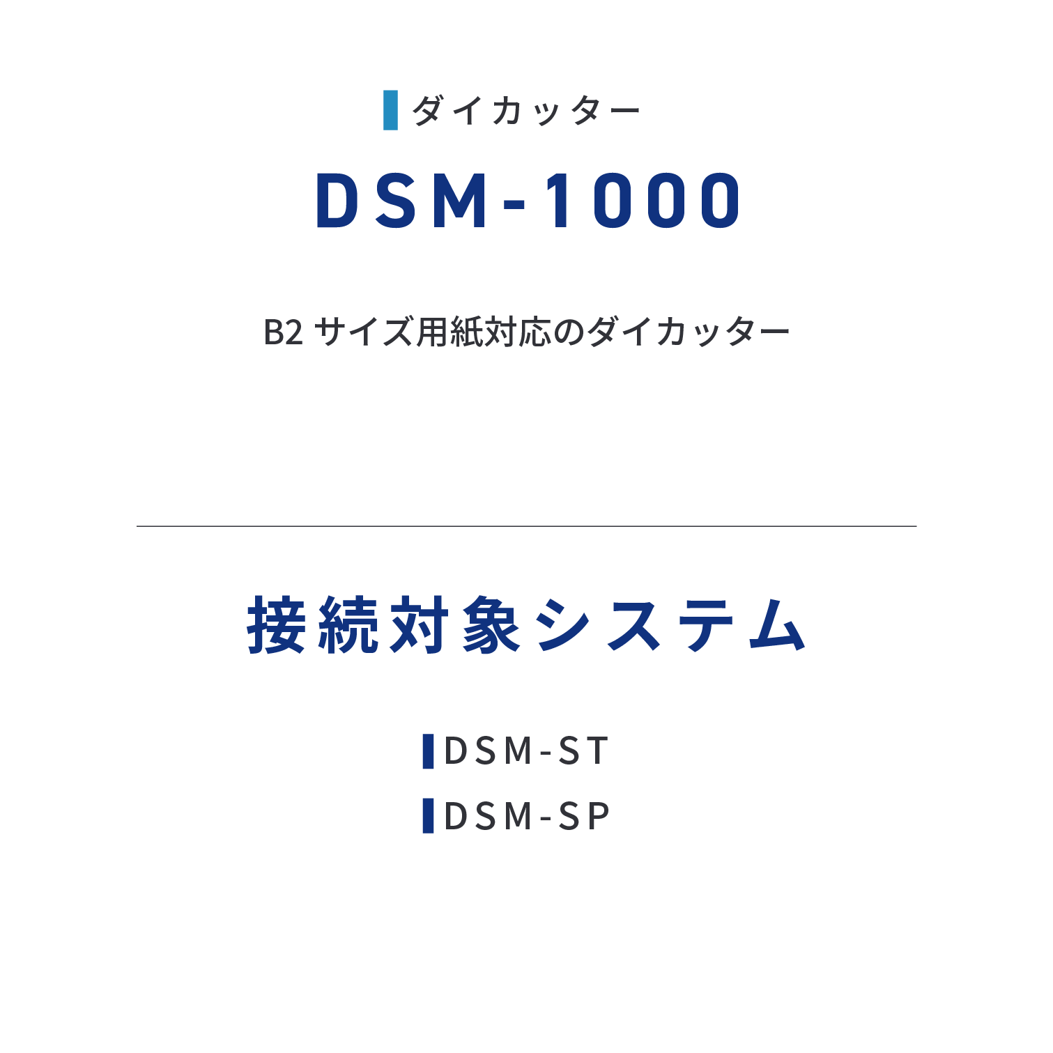 DSM-1000